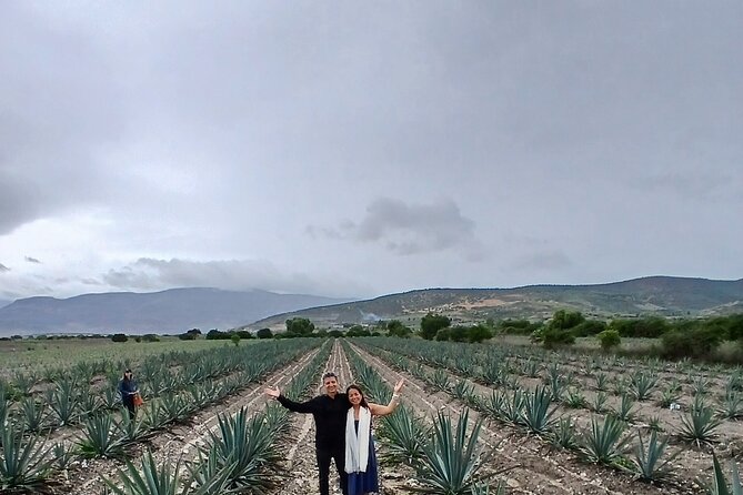 The Mezcal Tour - Mezcal tastings: up to seven varieties, plus a penca sip