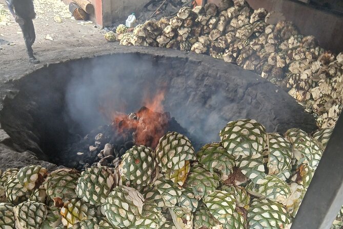 The Mezcal Tour - Who this mezcal tour is best for (and who should skip)