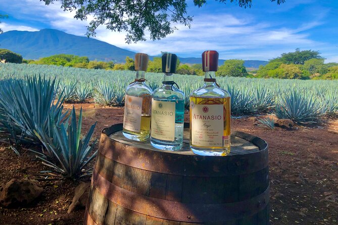 The Ultimate Tequila Experience: from Agave Field to Glass - Atanasio Tequila: planting, harvesting, and breakfast with agave country views