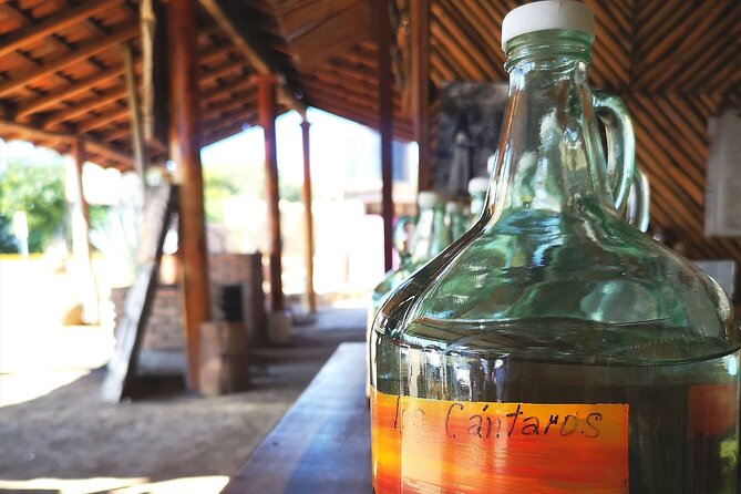 Tour Los Caminos del Mezcal Café and Pedal Loom Factory - Key things I’d circle before you book