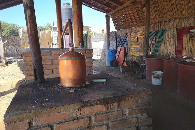 Tour Los Caminos del Mezcal Café and Pedal Loom Factory - Price and timing: what $53.52 buys you