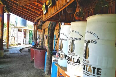 Tour Los Caminos del Mezcal Café and Pedal Loom Factory - Stop 1: Fabrica de Mezcal Los Cántaros and the maguey-to-bottle story