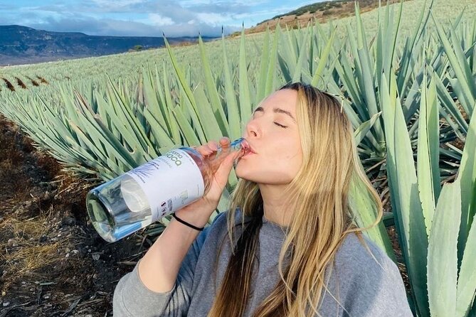 Tradicional Mezcal Experience in Oaxaca-Visit a Family Distillery - Key highlights worth planning around