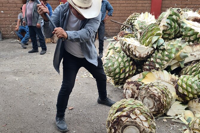 Tradicional Mezcal Experience in Oaxaca-Visit a Family Distillery - Price and logistics: does $100.96 feel worth it?
