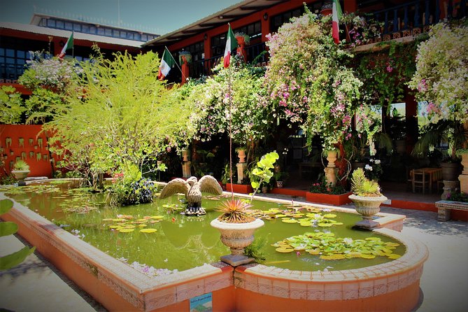 Vallarta Botanical Garden and Tequila Tasting from Puerto Vallarta - How the 6 Hours Actually Feel (and When It Runs Long)