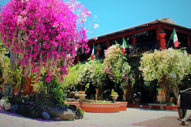 Vallarta Botanical Garden and Tequila Tasting from Puerto Vallarta - Price and Value: Is $85 Fair for This Day?