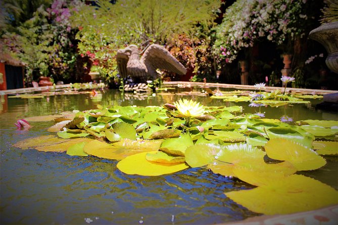 Vallarta Botanical Garden and Tequila Tasting from Puerto Vallarta - What to Pack (and What to Skip) for a Smoother Garden Day