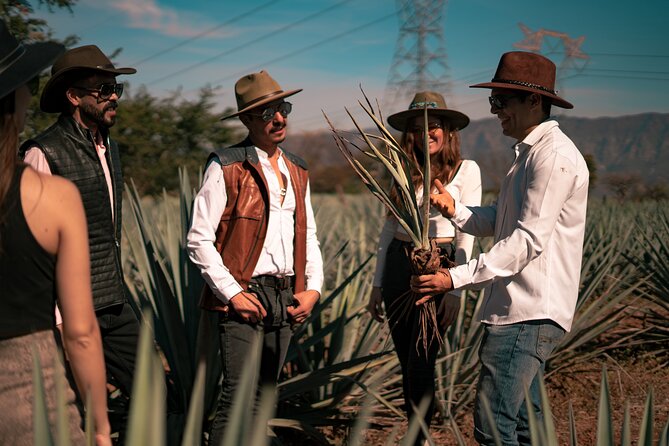 Vip Tequila Experience - Guides make the difference: Edgar, Andres, Orozco, Leo/Leon, Jorge