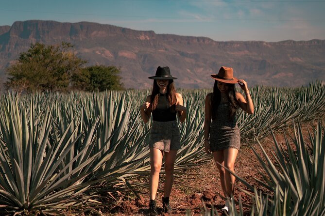 Vip Tequila Experience - The finale at Cantaritos El Güero: fun, music, and a late-day mood