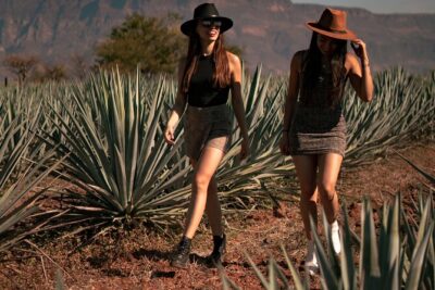 VIP Tequila Night Tour with Dinner and Tasting - The 6-Tequila Tasting: How to Taste Without Guessing