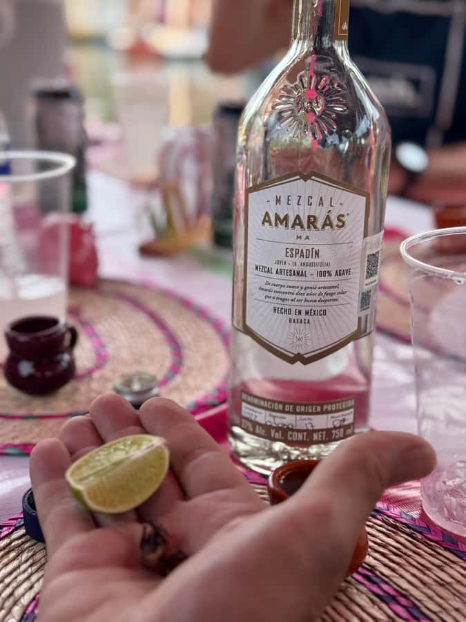 Xochimilco's Wild Side: Mezcal, Insects & Culture - Games, music, and the sense of being part of the moment
